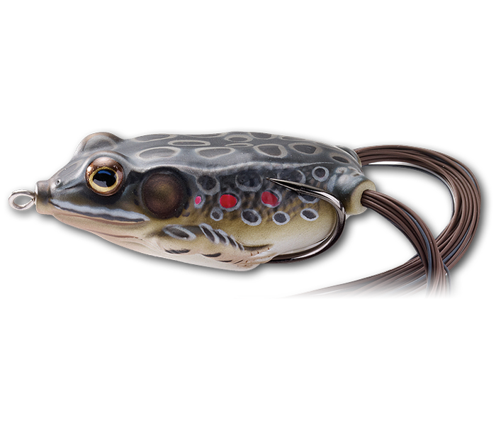 LIVE TARGET HOLLOW BODY FROG