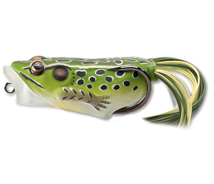 LIVE TARGET HOLLOW BODY FROG POPPER