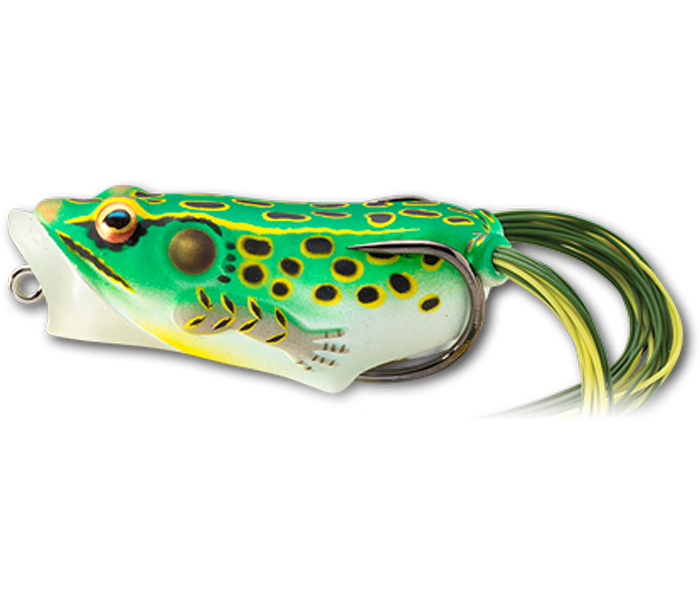 LIVE TARGET HOLLOW BODY FROG POPPER