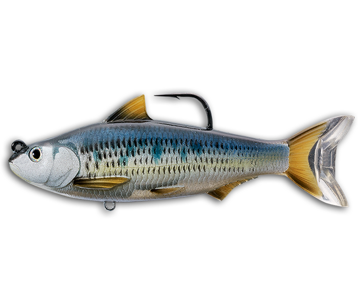 LIVE TARGET COMMON SHINER SWIMBAIT