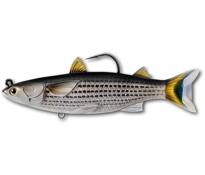 LIVE TARGET MULLET SWIMBAIT