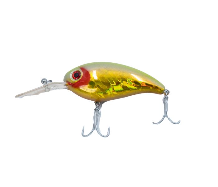 AGOOL Fishing Lures Kit Gear Set Spinners Livetarget Lures Variety Kit Trout  Fishing Baits Rooster Tail Lures Colorful Sharp Treble Hooks Tackle Kit  (36pcs Mix Fish Lure Set) : : Sports, Fitness