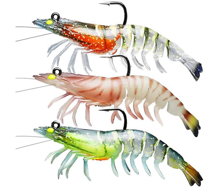 Buy Best Shrimp and Prawns Baits Online in India at Best Prices -  Fishermanshub