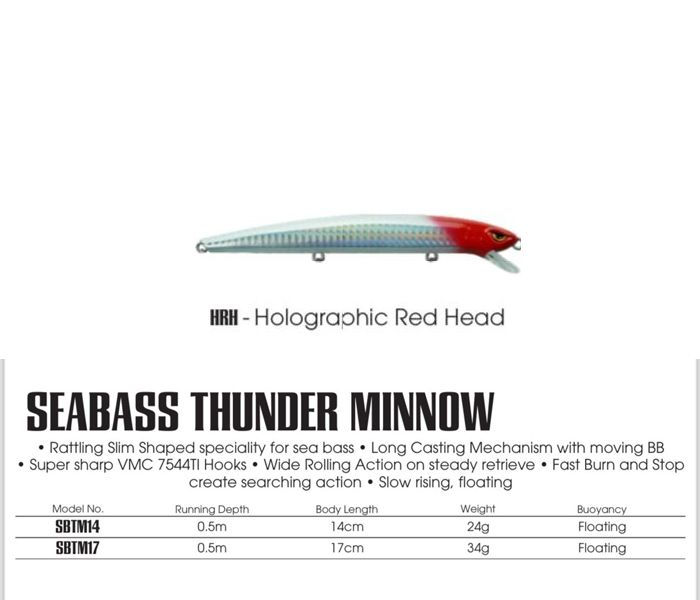 STORM SEA BASS THUNDER MINNOW 14