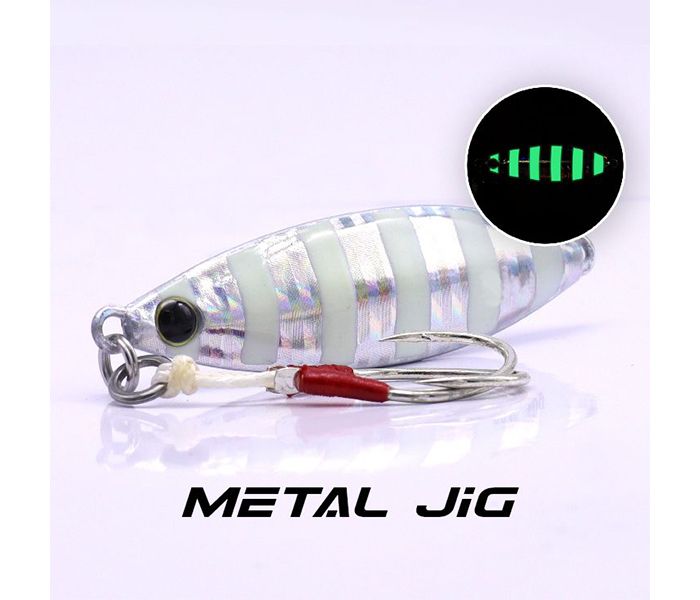 EUPRO SURE BAITS JIG 40G- SB59