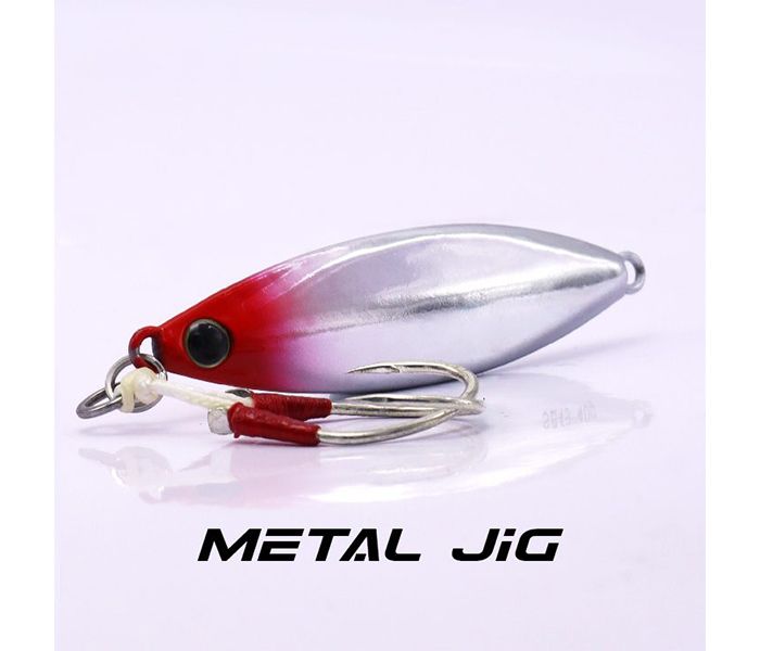 EUPRO SURE BAITS JIG 40G- SB59